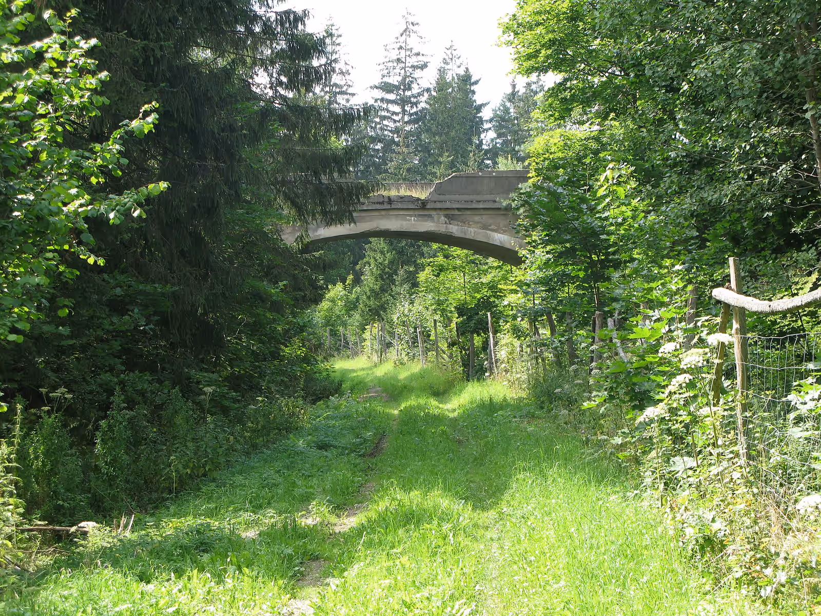 Wildlife watching in the Romincka Forest