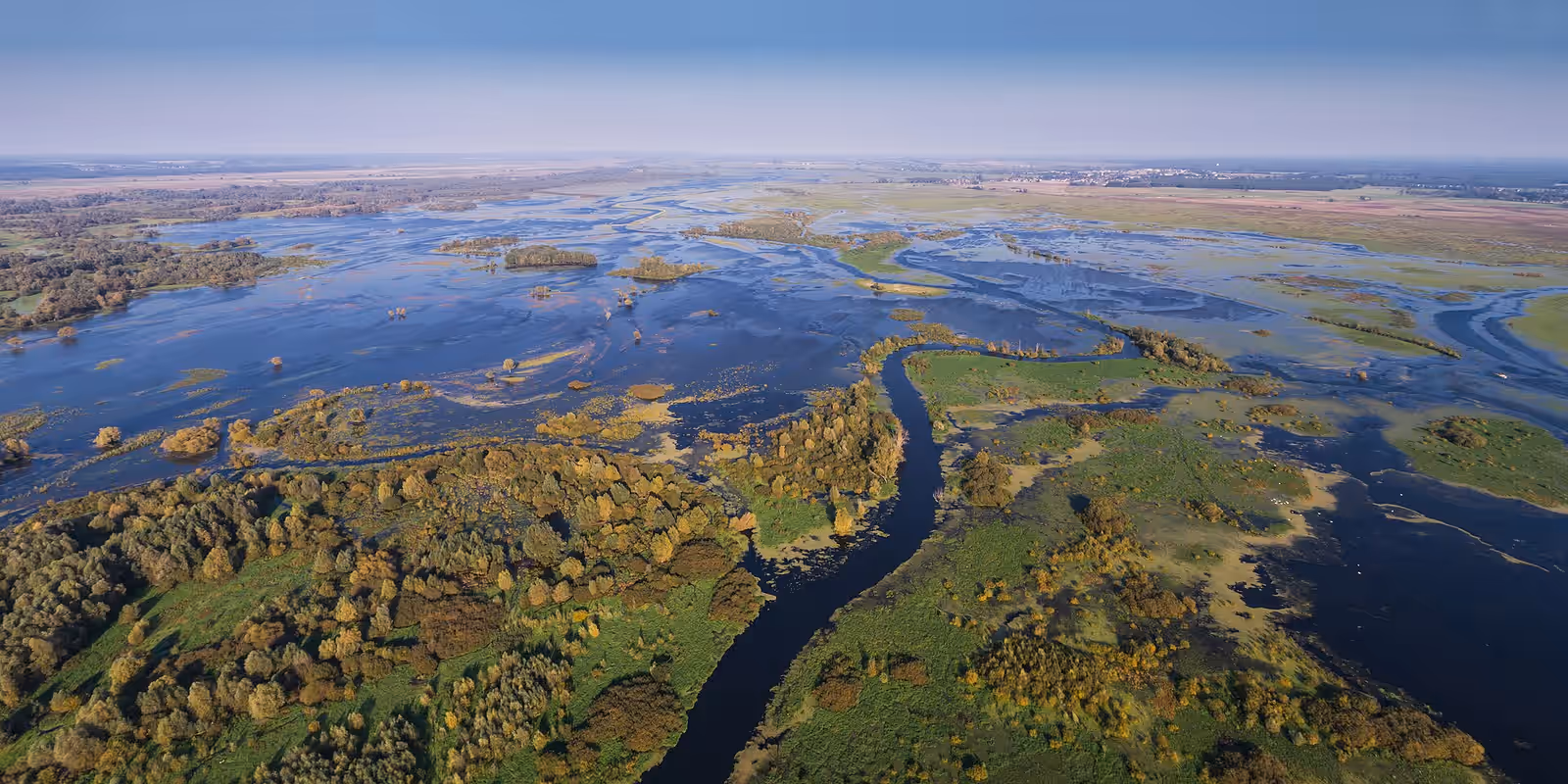 Wildlife watching in Ujście Warty