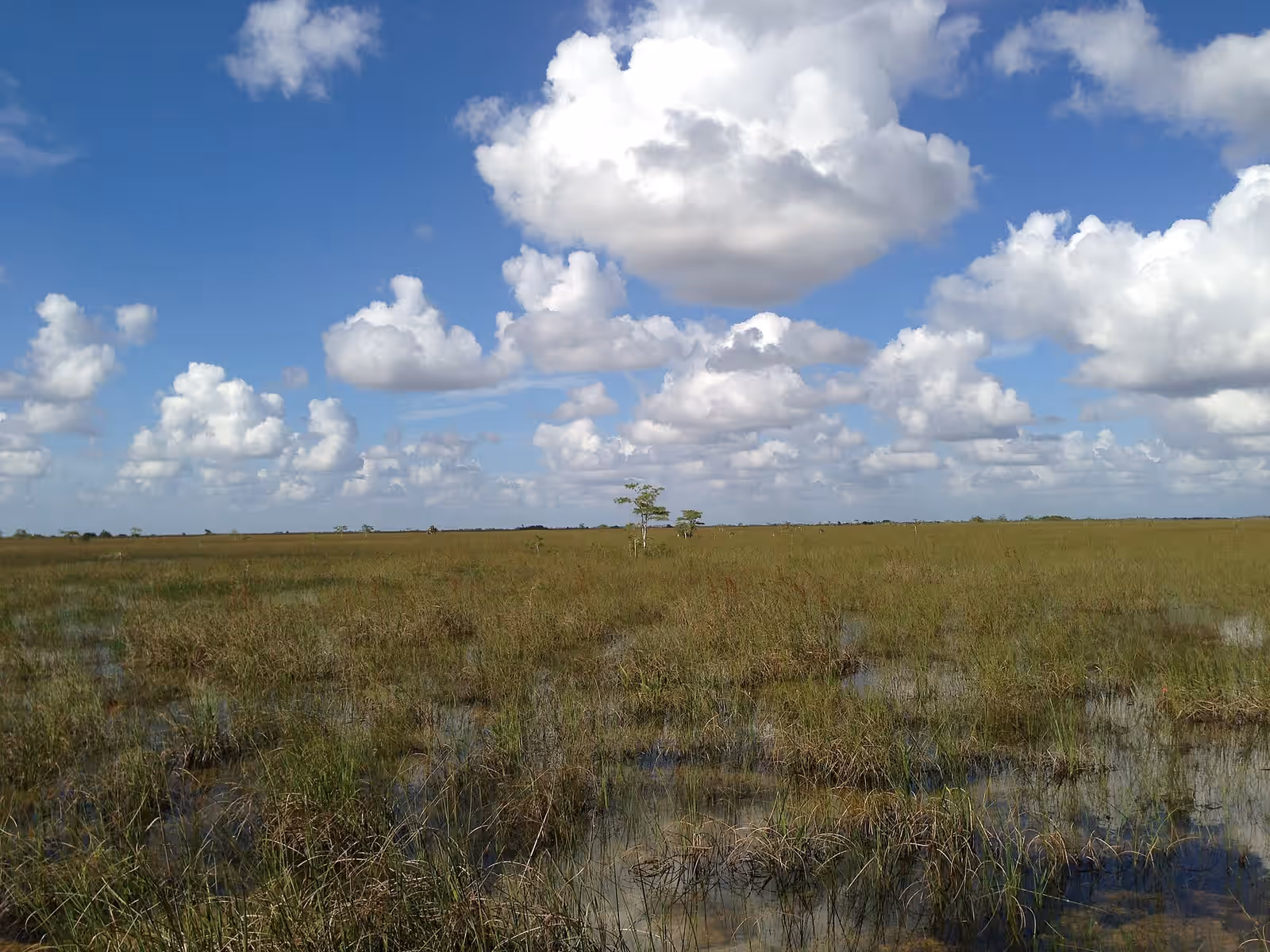 Florida, United States
