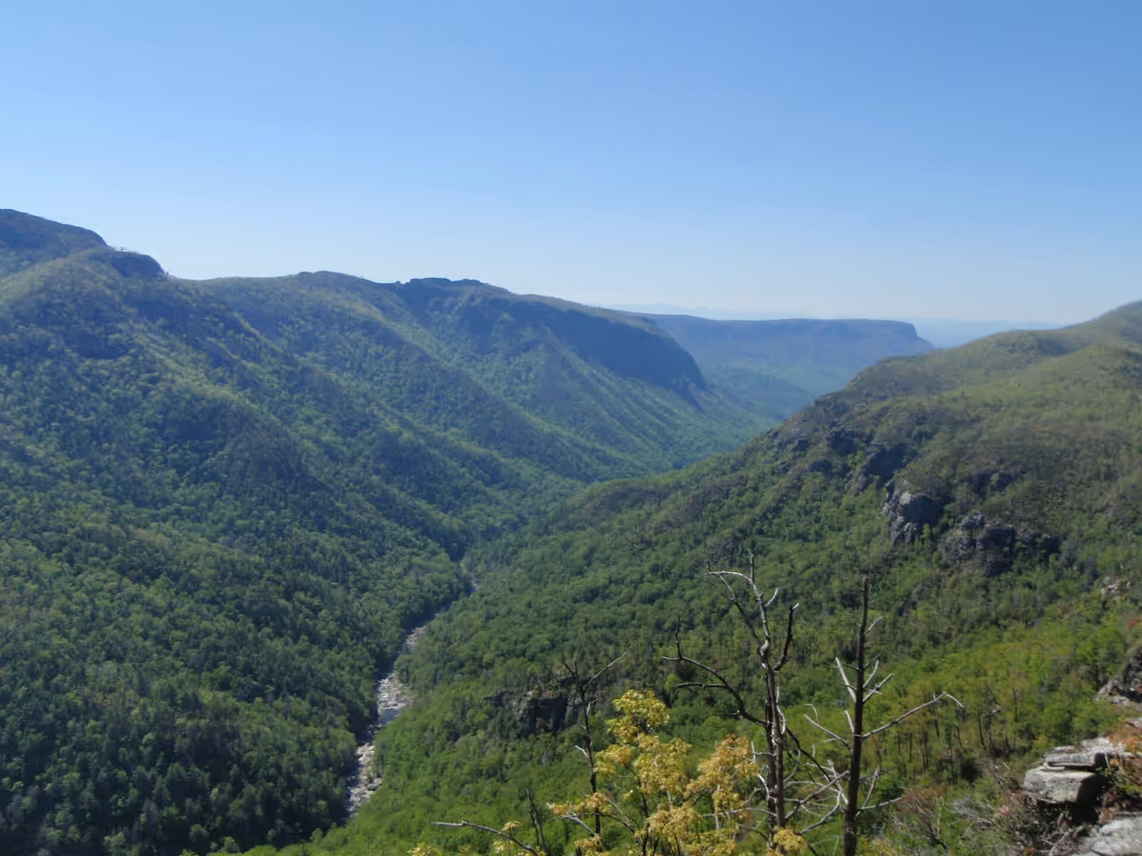 North Carolina, United States